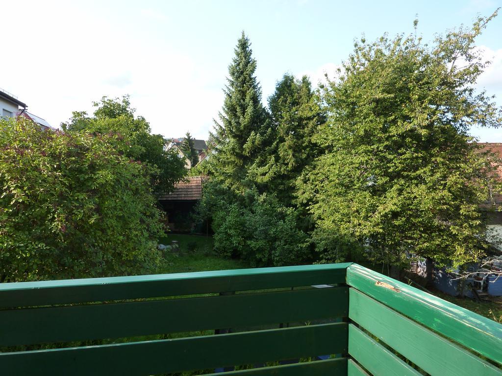 Appartement Schwarzwald Light à Freudenstadt Extérieur photo