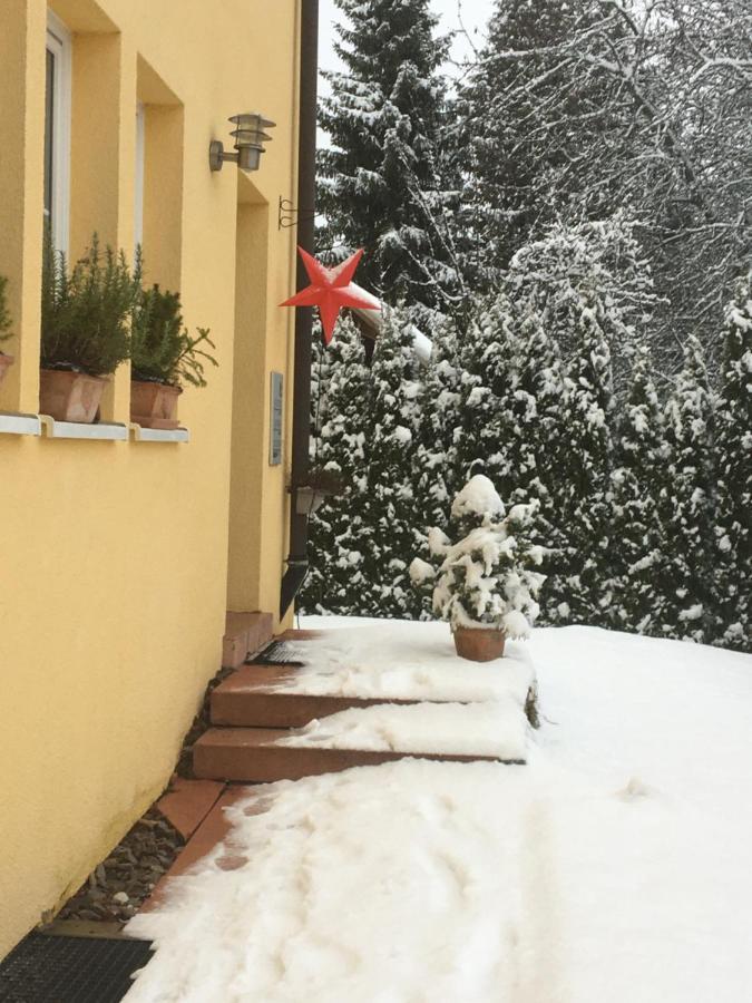 Appartement Schwarzwald Light à Freudenstadt Extérieur photo